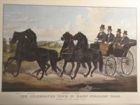 The Celebrated Four in Hand Stallion Team