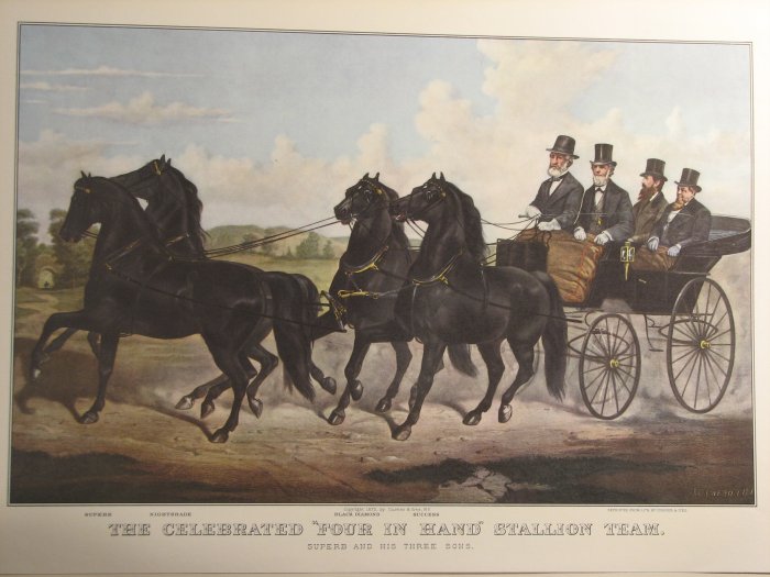 The Celebrated Four in Hand Stallion Team